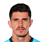 Vinicius Silvestre Face