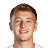Fabian Gmeiner FC 24 Face