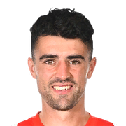 Alexandru Pascanu Face