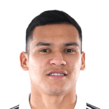 FC 24 Andres Herrera Face