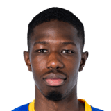 FC 24 Djibril Diani Face