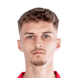FC 24 Moritz Romling Face