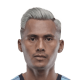 FC 24 Bipin Singh Face