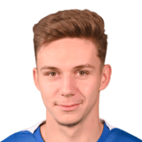Louis Munteanu Face
