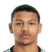Bryan Fiabema Face