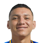 Pierre Bellolio Face