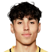 Sebastian Tounekti Face