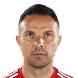 FC 24 Adnan Aganovic Face