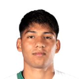 FC 24 Matias Gonzalez Face