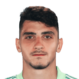 Emre Bilgin Face