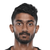 FC 24 Sweden Fernandes Face