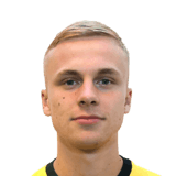 FC 24 Vedad Radonja Face