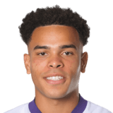 Mario Stroeykens Face
