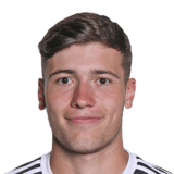 FC 24 Luca Kerber Face