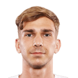 FC 24 Erwin Softic Face