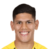 FC 24 Brahian Fernandez Face