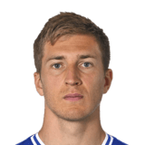 FC 24 Sebastian Breza Face