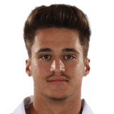 FC 24 Mario Enache Face