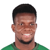 FC 24 Mamadou Diarra Face