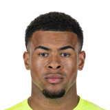 FC 24 Noah Atubolu Face