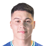 FC 24 Joaquin Cabrera Face