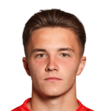 FC 24 Paul Schermer Face