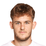 Denis Tomic Face