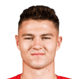 FC 24 David Skubl Face