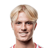 FC 24 Hans Hollsberg Face