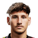 FC 24 Harvey Wiles-Richards Face