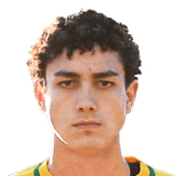 FC 24 Victor Bobsin Face