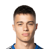FC 24 Robin Kalem Face