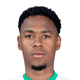 FC 24 Nelson Palacio Face
