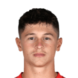 FC 24 Lucas Halangk Face