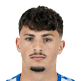 FC 24 Eldin Dzogovic Face