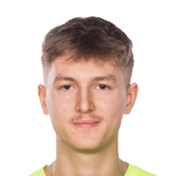 Viktor Dryselius FC 24 Face