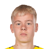 FC 24 Otto Rosengren Face
