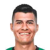 FC 24 Sebastian Alvarez Face