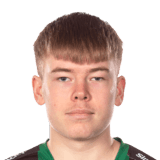 FC 24 David Bendrik Face