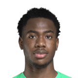 FC 24 Abdoulaye Bakayoko Face