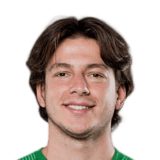 FC 24 Enis Destan Face
