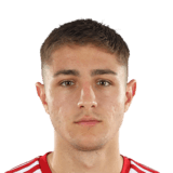 FC 24 Victor Dican Face