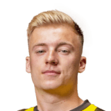 Dennis Lutke-Frie Face