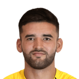 FC 24 Fernando Roman Face