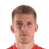 FC 24 Libor Holik Face