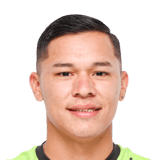 FC 24 Fabio Rosales Face