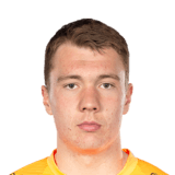 FC 24 Hugo Fagerberg Face