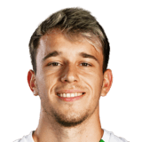 FC 24 Raul Marte Face
