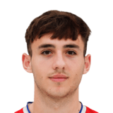 FC 24 Matus Holicek Face