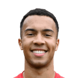 FC 24 Douglas James-Taylor Face